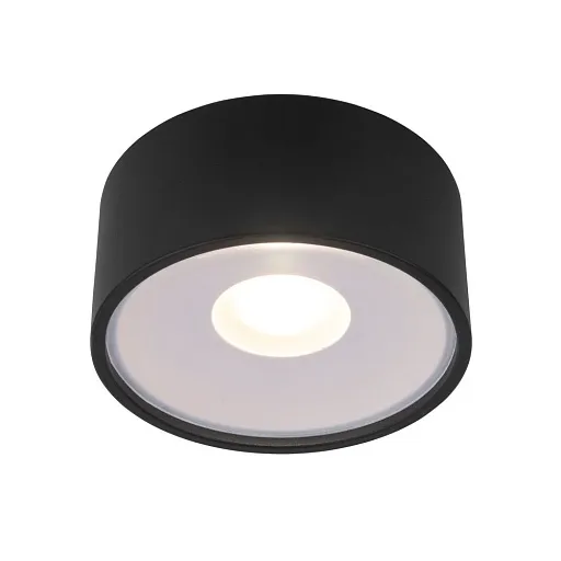 Светильник светодиодный садово-парковый накладной Elektrostandard Light LED черный 52 мм 4000К 12 Вт IP65 (35141/H) Светильник светодиодный садово-парковый накладной Elektrostandard Light LED черный 52 мм 4000К 12 Вт IP65 (35141/H)