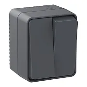 Выключатель Systeme Electric AtlasDesign Profi54 двухклавишный накладной антрацит (ATN544051) Выключатель Systeme Electric AtlasDesign Profi54 двухклавишный накладной антрацит (ATN544051)