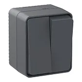 Выключатель Systeme Electric AtlasDesign Profi54 двухклавишный накладной антрацит (ATN544051) Выключатель Systeme Electric AtlasDesign Profi54 двухклавишный накладной антрацит (ATN544051)