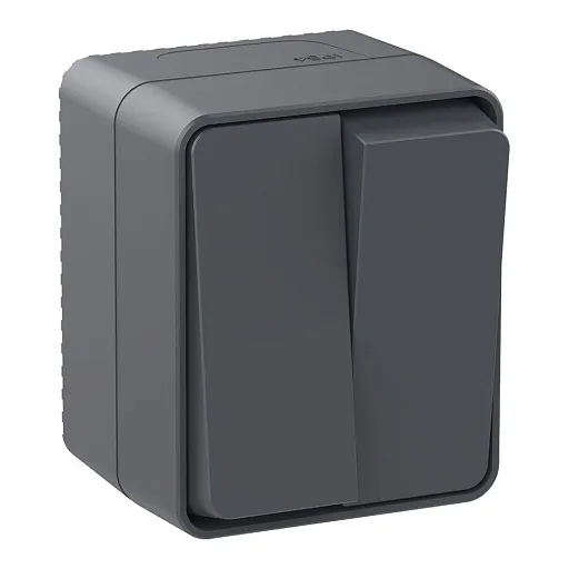 Выключатель Systeme Electric AtlasDesign Profi54 двухклавишный накладной антрацит (ATN544051) Выключатель Systeme Electric AtlasDesign Profi54 двухклавишный накладной антрацит (ATN544051)