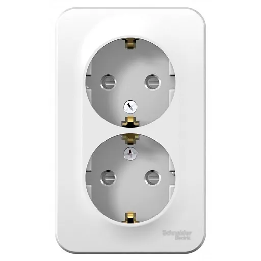 Розетка двойная Systeme Electric Blanca накладная белая с заземлением со шторками (BLNRA011201) Розетка двойная Systeme Electric Blanca накладная белая с заземлением со шторками (BLNRA011201)