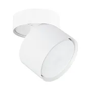 Спот потолочный Arte Lamp Intercrus GX53 15 Вт 1 кв.м белый IP20 (A5549PL-1WH)
