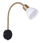 Спот настенный Arte Lamp E14 40 Вт 2 кв.м черный/золото IP20 (A3116AP-1BK) Спот настенный Arte Lamp E14 40 Вт 2 кв.м черный/золото IP20 (A3116AP-1BK)