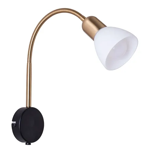 Спот настенный Arte Lamp E14 40 Вт 2 кв.м черный/золото IP20 (A3116AP-1BK) Спот настенный Arte Lamp E14 40 Вт 2 кв.м черный/золото IP20 (A3116AP-1BK)