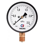 Манометр Росма ТМ-210Р.00 G1/4.2,5 радиальный 1/4 НР(ш) 10 бар d50 мм (597) Манометр Росма ТМ-210Р.00 G1/4.2,5 радиальный 1/4 НР(ш) 10 бар d50 мм (597)