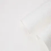 Обои под покраску вспененный винил на флизелиновой основе фактурные Palitra Home Colorist 426-01 (1,06х25 м) плотность 105 г/кв.м Обои под покраску вспененный винил на флизелиновой основе фактурные Palitra Home Colorist 426-01 (1,06х25 м) плотность 105 г/кв.м