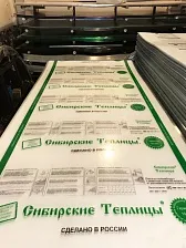 Сотовый поликарбонат СИБИРСКИЕ ТЕПЛИЦЫ 4 мм прозрачный - фотография 1
