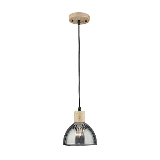 Светильник подвесной Arte Lamp Lancaster E27 60 Вт 2 кв.м черный/серый IP20 (A5869SP-1BK)