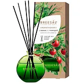 Аромадиффузор с палочками Breesal Aromatherapy Слияние с природой 70 мл