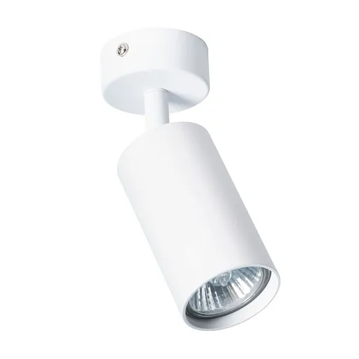 Спот потолочный Arte Lamp Aquarius GU10 35 Вт 1 кв.м белый IP20 (A3216PL-1WH)
