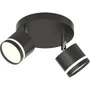 Спот потолочный Schaffner Salomon GX53 30 Вт 5 кв.м черный IP20 (4740-2 BK) Спот потолочный Schaffner Salomon GX53 30 Вт 5 кв.м черный IP20 (4740-2 BK)