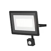 Прожектор светодиодный Maytoni Flood Outdoor 6500К 50 Вт IP65 с датчиком движения черный