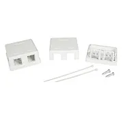 Коробка розеточная для модулей Keystone DKC RJ45 2 гнезда (RNW2WH) Коробка розеточная для модулей Keystone DKC RJ45 2 гнезда (RNW2WH)