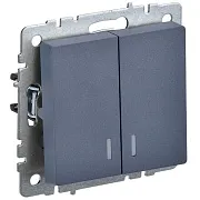 Выключатель IEK Brite ВС10-2-1-БрМ двухклавишный встраиваемый маренго с подсветкой (BR-V20-1-10-K35)