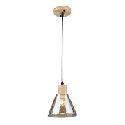 Светильник подвесной Arte Lamp Lancaster E27 60 Вт 2 кв.м черный/желтый IP20 (A5891SP-1BK)
