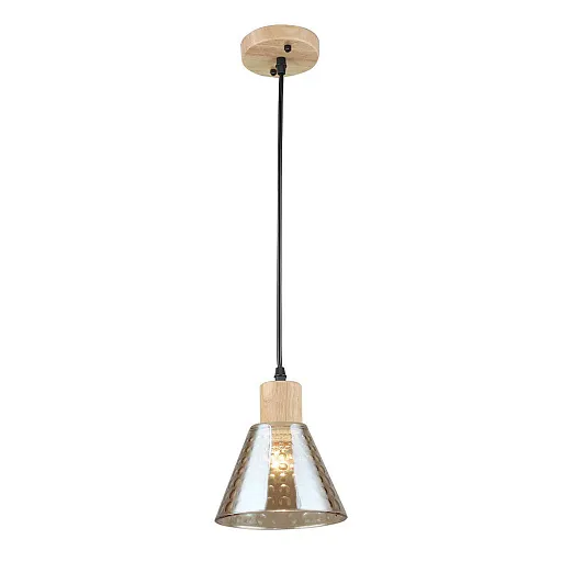 Светильник подвесной Arte Lamp Lancaster E27 60 Вт 2 кв.м черный/желтый IP20 (A5891SP-1BK)