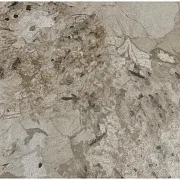 Панель декоративная из экополимера 1200х3000х4,5 мм Солид Urban тропея матовая 3,6 кв.м Панель декоративная из экополимера 1200х3000х4,5 мм Солид Urban тропея матовая 3,6 кв.м