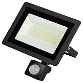 Прожектор светодиодный Эра  LPR-042 6500K 50 Вт IP44 с датчиком движения черный