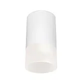 Светильник светодиодный садово-парковый накладной Elektrostandard Light LED белый 165 мм 4000К 7 Вт IP54 (35139/H) Светильник светодиодный садово-парковый накладной Elektrostandard Light LED белый 165 мм 4000К 7 Вт IP54 (35139/H)
