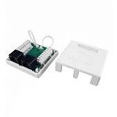 Розетка компьютерная Hyperline 8P8C CAT5e 2 гнезда (430234)
