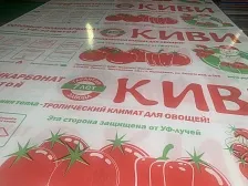 Сотовый поликарбонат КИВИ 6 (5,7) мм