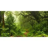 Фотообои Фотообойкин Лес Pt-044_5 (5х2,7 м) Фотообои Фотообойкин Лес Pt-044_5 (5х2,7 м)