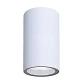 Светильник садово-парковый подвесной Arte Lamp Mistero белый 100 мм GU10 35 Вт IP65 (A3302PF-1WH) Светильник садово-парковый подвесной Arte Lamp Mistero белый 100 мм GU10 35 Вт IP65 (A3302PF-1WH)