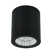 Светильник светодиодный садово-парковый накладной Arte Lamp Torcular черный 130 мм 4000К 13 Вт IP65 (A1813PF-1BK) Светильник светодиодный садово-парковый накладной Arte Lamp Torcular черный 130 мм 4000К 13 Вт IP65 (A1813PF-1BK)