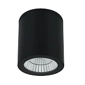 Светильник светодиодный садово-парковый накладной Arte Lamp Torcular черный 130 мм 4000К 13 Вт IP65 (A1813PF-1BK) Светильник светодиодный садово-парковый накладной Arte Lamp Torcular черный 130 мм 4000К 13 Вт IP65 (A1813PF-1BK)