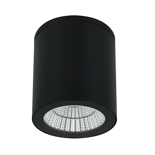 Светильник светодиодный садово-парковый накладной Arte Lamp Torcular черный 130 мм 4000К 13 Вт IP65 (A1813PF-1BK) Светильник светодиодный садово-парковый накладной Arte Lamp Torcular черный 130 мм 4000К 13 Вт IP65 (A1813PF-1BK)