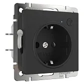 Умная розетка Werkel Minimir Home (a056422) скрытая установка черная с заземлением Умная розетка Werkel Minimir Home (a056422) скрытая установка черная с заземлением