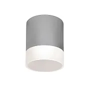 Светильник светодиодный садово-парковый накладной Elektrostandard Light LED серый 148 мм 4000К 15 Вт IP54 (35140/H)