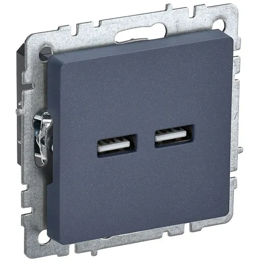 Розетка USB IEK Brite встраиваемая маренго 2хUSB-A (BR-U21-D31-K35) Розетка USB IEK Brite встраиваемая маренго 2хUSB-A (BR-U21-D31-K35)