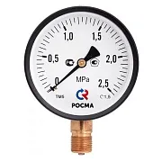Манометр Росма ТМ-210Р.00 G1/4.2,5 радиальный 1/4 НР(ш) 4 бар d50 мм (40221) Манометр Росма ТМ-210Р.00 G1/4.2,5 радиальный 1/4 НР(ш) 4 бар d50 мм (40221)