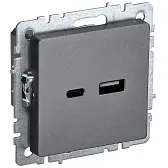 Розетка USB IEK Brite РЮ11-1-БрС встраиваемая сталь USB-A/ Type-C (BR-U22-018-K46) Розетка USB IEK Brite РЮ11-1-БрС встраиваемая сталь USB-A/ Type-C (BR-U22-018-K46)