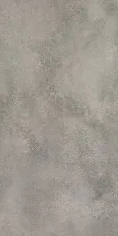 Керамогранит Coliseum Gres Astro silver 1200х600х9 мм (2 шт.=1,44 кв.м)