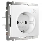 Умная розетка Werkel Minimir Home (W1171601) скрытая установка белая с заземлением Умная розетка Werkel Minimir Home (W1171601) скрытая установка белая с заземлением