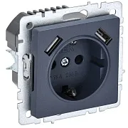 Розетка IEK Brite встраиваемая маренго с заземлением 2хUSB-A (BR-R14-16-U21-D31-K35) Розетка IEK Brite встраиваемая маренго с заземлением 2хUSB-A (BR-R14-16-U21-D31-K35)