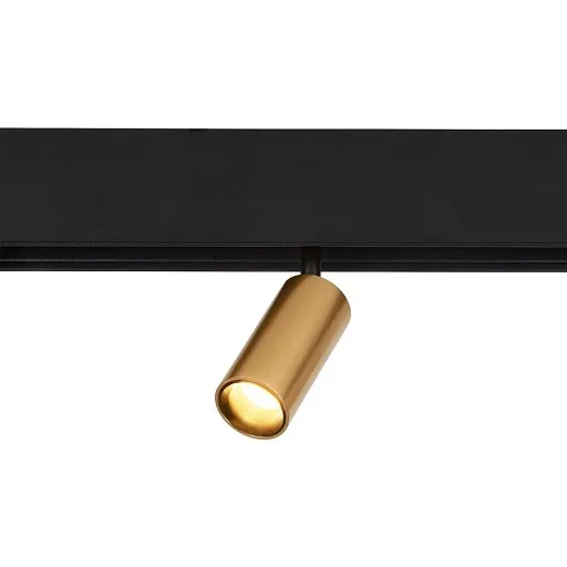 Светодиодный трековый светильник магнитный Elektrostandard Slim Magnetic 2700-6500К 5 Вт умный черный/латунь (a063531) Светодиодный трековый светильник магнитный Elektrostandard Slim Magnetic 2700-6500К 5 Вт умный черный/латунь (a063531)