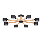Люстра потолочная Arte Lamp Tenda GX53 96 Вт 15 кв.м (A1624PL-8BK)