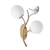 Бра Arte Lamp Camomilla E14 80 Вт 220 В золото IP20 (A9712AP-2SG)