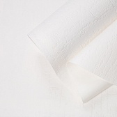 Обои под покраску вспененный винил на флизелиновой основе фактурные Palitra Home Colorist 417-01 (1,06х25 м) плотность 109 г/кв.м