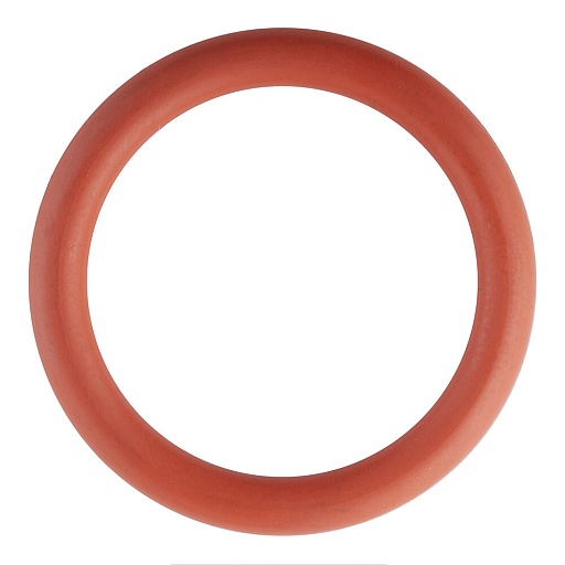 Кольцо уплотнительное FPM Valtec 22 мм Кольцо уплотнительное FPM Valtec 22 мм