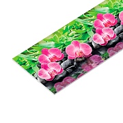 Панель стеновая ПВХ для кухни 4000х600х1 мм орхидеи эпифиты Панель стеновая ПВХ для кухни 4000х600х1 мм орхидеи эпифиты