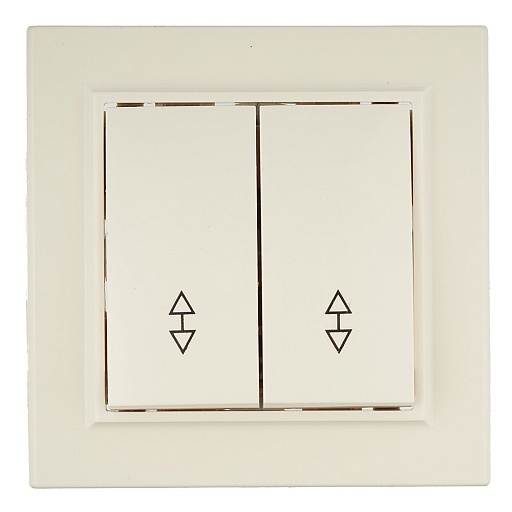 Переключатель EKF Минск двухклавишный встраиваемый бежевый (ERV10-026-20)