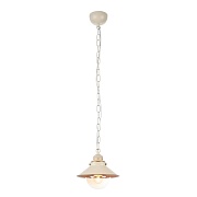 Светильник подвесной Arte Lamp Grazioso E27 60 Вт 2 кв.м (A4577SP-1WG)