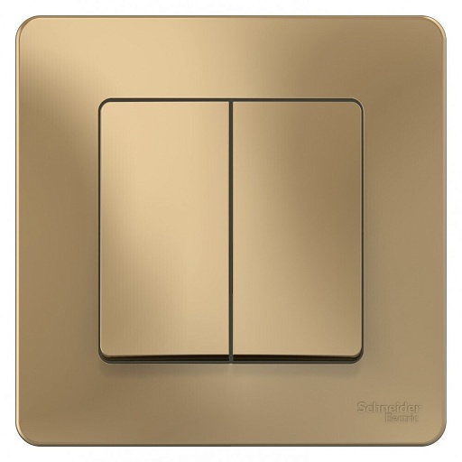 Выключатель Systeme Electric Blanca двухклавишный встраиваемый титан (BLNVS010504) Выключатель Systeme Electric Blanca двухклавишный встраиваемый титан (BLNVS010504)