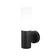 Светильник садово-парковый настенный Elektrostandard Glas черный 255 мм E27 20 Вт IP54 (a049717)