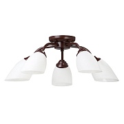 Люстра потолочная Vitaluce V3252 E14 200 Вт 10 кв.м (V3252/5PL)