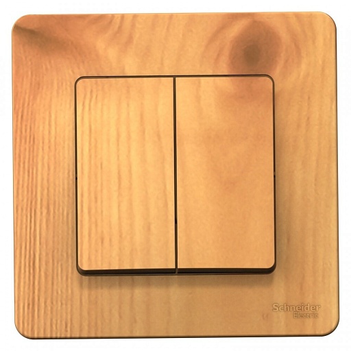 Выключатель Systeme Electric Blanca двухклавишный встраиваемый ясень (BLNVS010505) Выключатель Systeme Electric Blanca двухклавишный встраиваемый ясень (BLNVS010505)